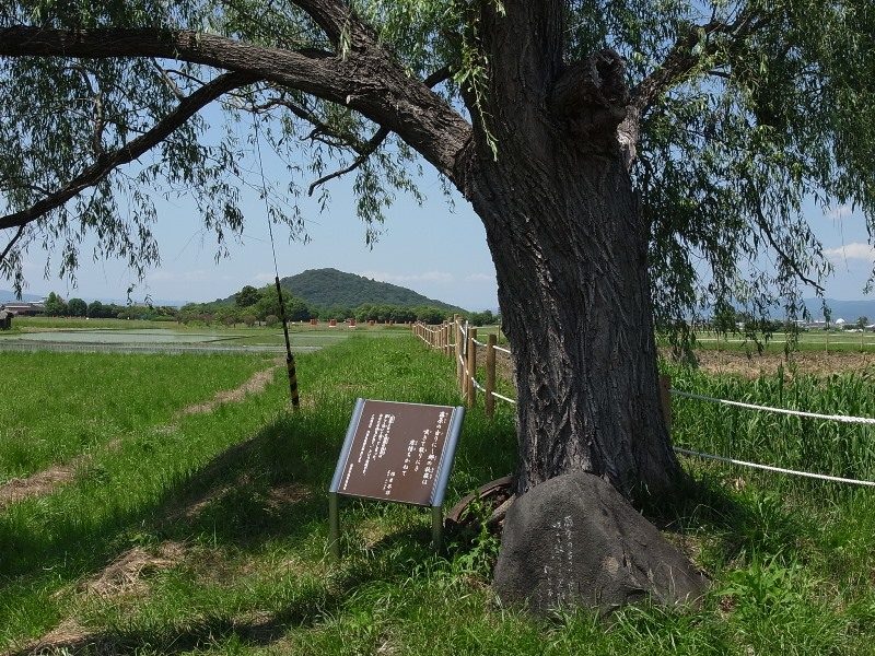 藤原京と耳成山