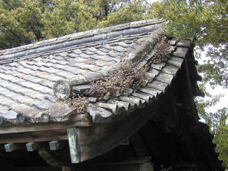 長崎の寺院　歴史的建造物　登録文化財