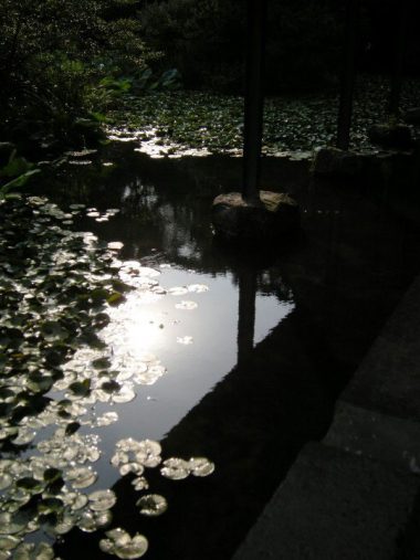 神奈川県立近代美術館 水面と細い独立柱