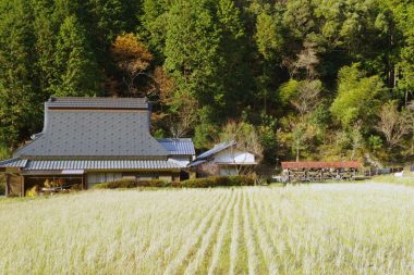 170105市街化調整区域、茅葺き民家のイメージ画像